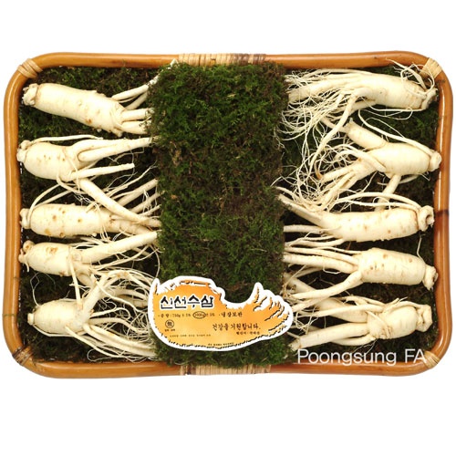 [금산인삼] 수삼 선