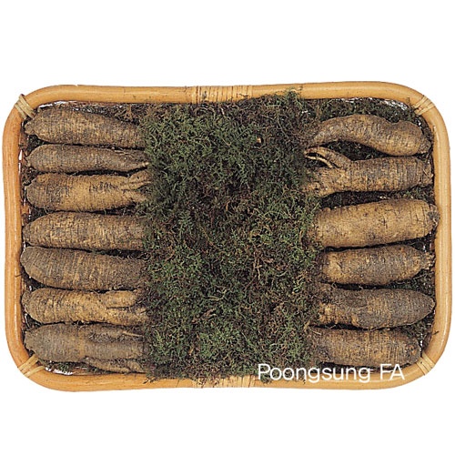 "[금산인삼] 더덕""선"""