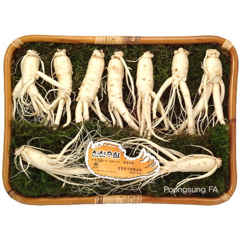 [금산인삼] 수삼 특미