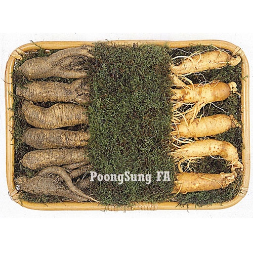 "[금산인삼] 수삼,더덕혼합"