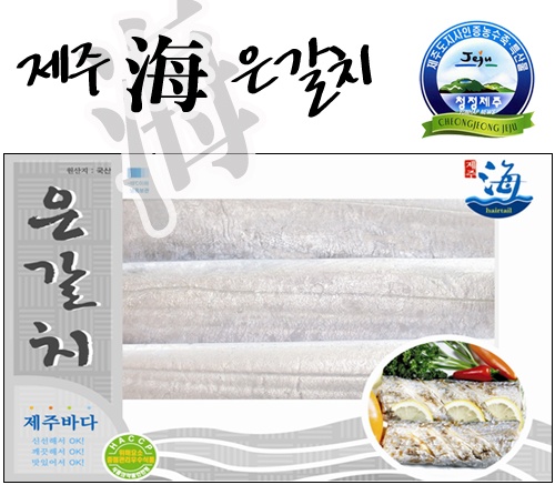 청정제주 海 은갈치