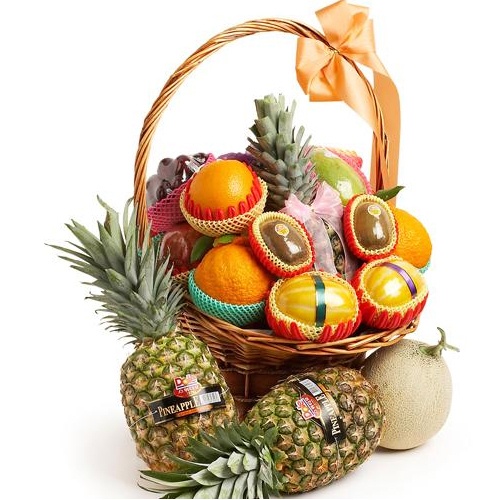 웰빙 과일바구니(중)