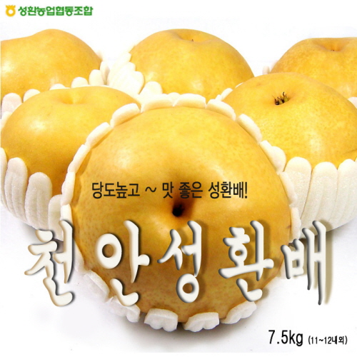 천안 성환배 7.5kg ( 11 ~12 과 )