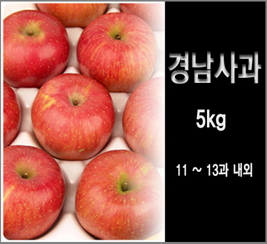 경남사과 5kg ( 11~13과 )