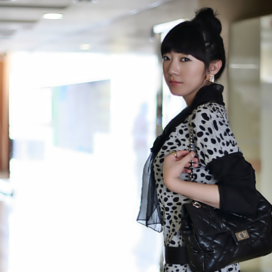 달마시안 ops(벨트 세트)