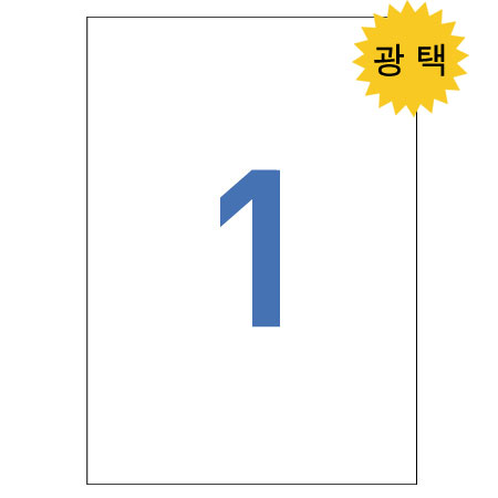 애니라벨(광택라벨V8110)A4100매