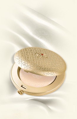 후 스키니 파운데이션 팩트