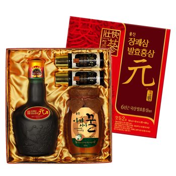장쾌삼 발효홍삼 원모둠2호(700ml)+산삼(50mlx2입)+벌꿀(600g) 10+1 