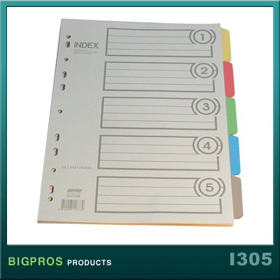 대흥(BIGPROS) 인덱스(종이) 5분류*5세트(5색/무지) I305 