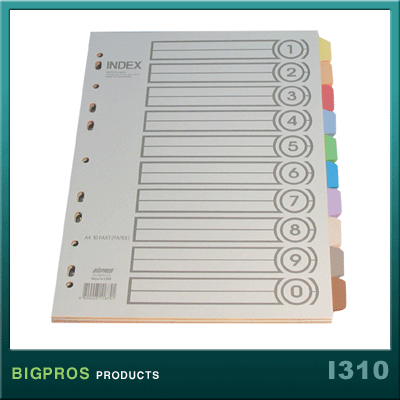 대흥(BIGPROS) 인덱스(종이) 10분류*5세트(5색/무지) I310 