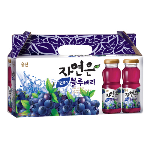 웅진 자연은 블루베리(180mlx12병) 