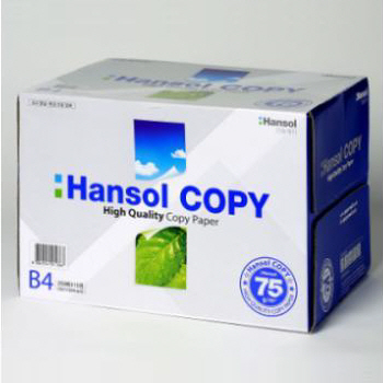 한솔제지 복사용지B4(75g*500매*5권)/1BOX  