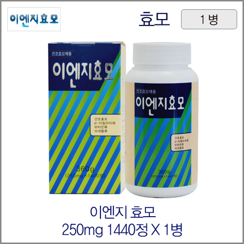 이엔지 효모 250mg 1440정 1병 (프로폴리스치약 무료증정)