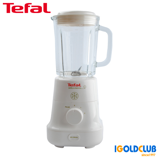 테팔 믹서기 BL-520 