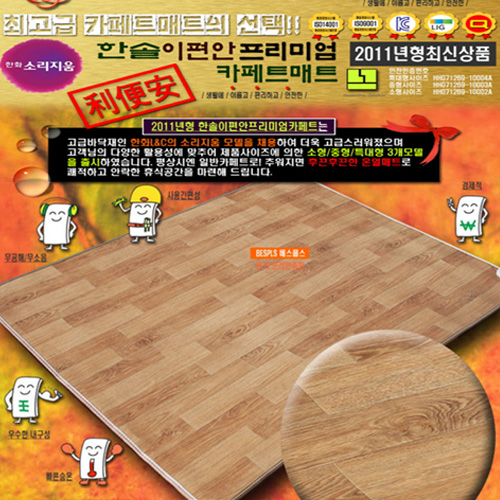 한솔이편안 프리미엄 (한화 소리지움) 모노륨 카페트 매트(소형) 