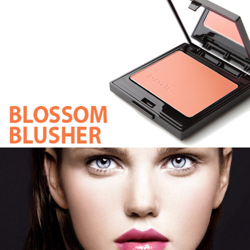 [DDell] 뜨엘 블라썸 블러셔