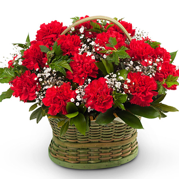 카네이션1호(꽃바구니)