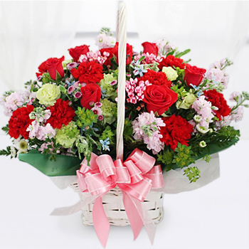 카네이션혼합1호(꽃바구니)