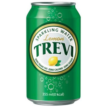 롯데칠성 트레비 레몬 355ml캔