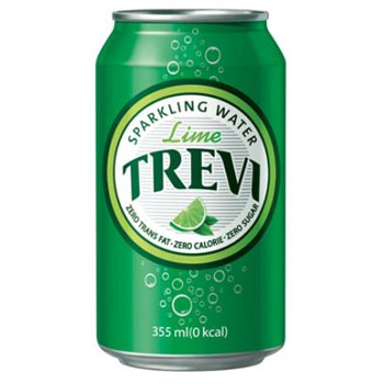 롯데칠성 트레비 라임 355ml캔