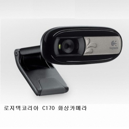 [로지텍]C170 화상카메라 