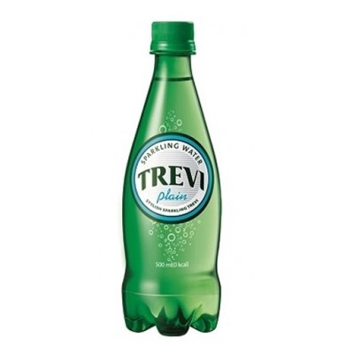 롯데칠성 트레비 플레인 500ml X 6PET