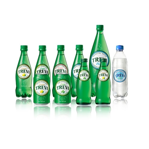 롯데칠성 트레비 라임 300mlPET