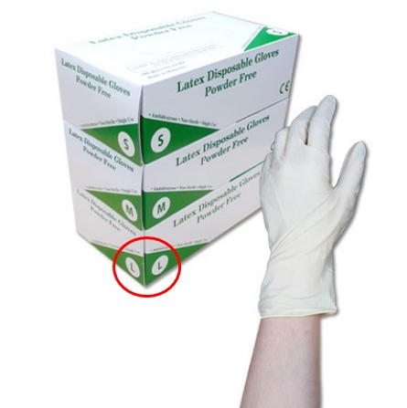 Latex Disposable Glove 라텍스 천연고무장갑 100매 