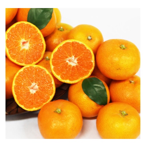 (계절과일) 당도선별 하우스감귤 1.4kg