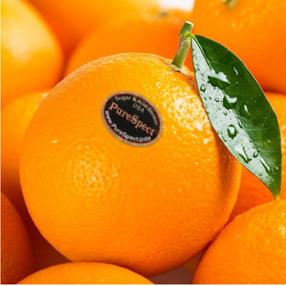 (계절과일) 퓨어스펙 블랙라벨 고당도 오렌지 6개(특대과)