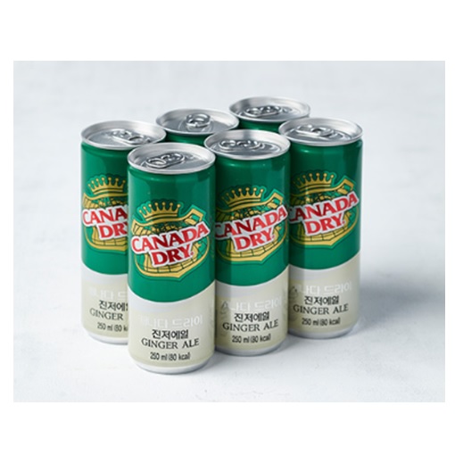 캐나다드라이 진저에일 250ml x 6캔