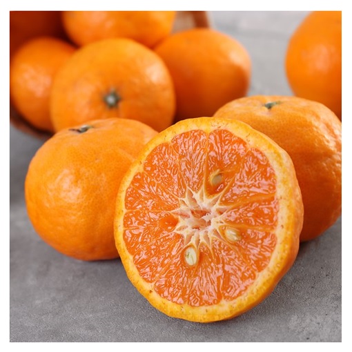 (계절과일) 제주 여름감귤 카라향 1.2kg