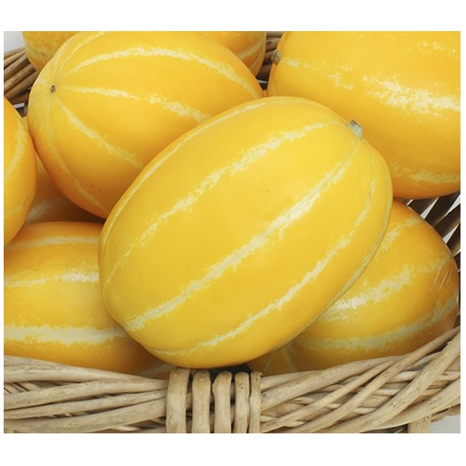 (계절과일) 고당도 칠곡 참외 2.5kg