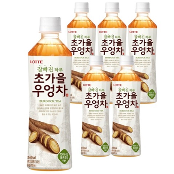 롯데칠성 초가을 우엉차 500ml x 6페트