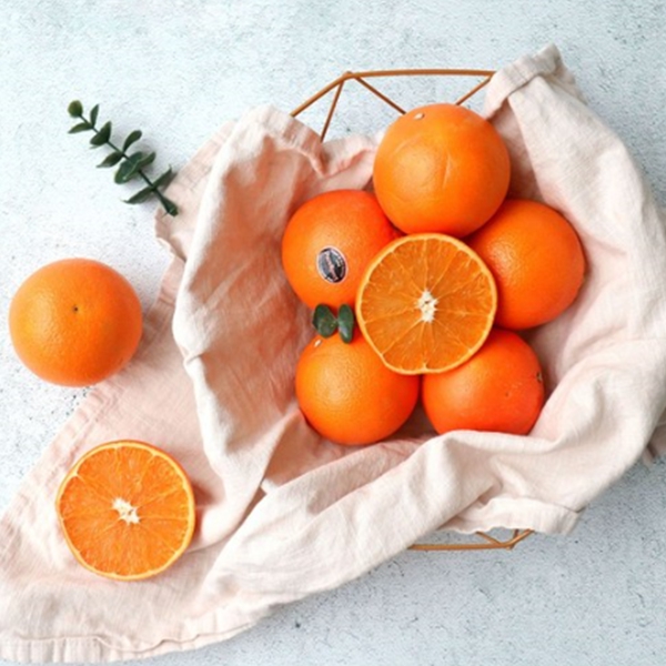 (계절과일) KASHU GOLD 스위트 고당도 오랜지 6개입