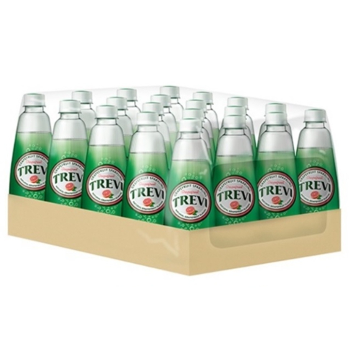 롯데칠성 트레비 자몽 300mlPET*20 / BOX 