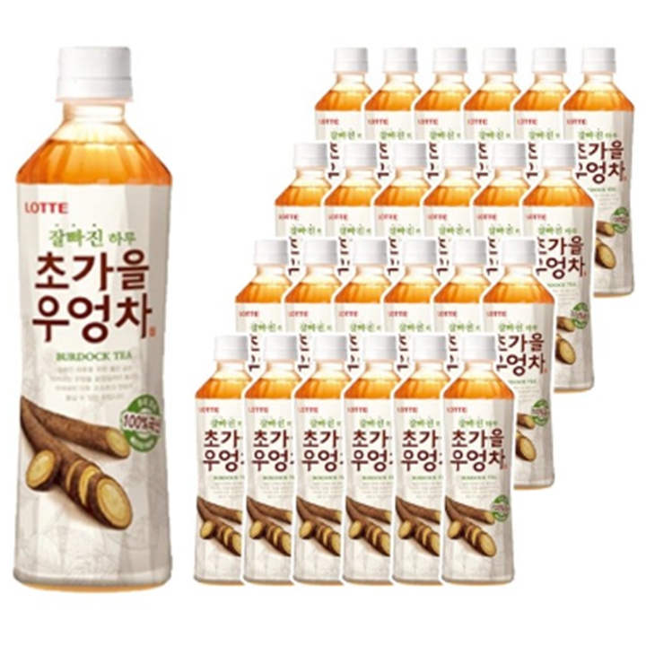 [박스]롯데칠성 초가을 우엉차 500ml x 24개입