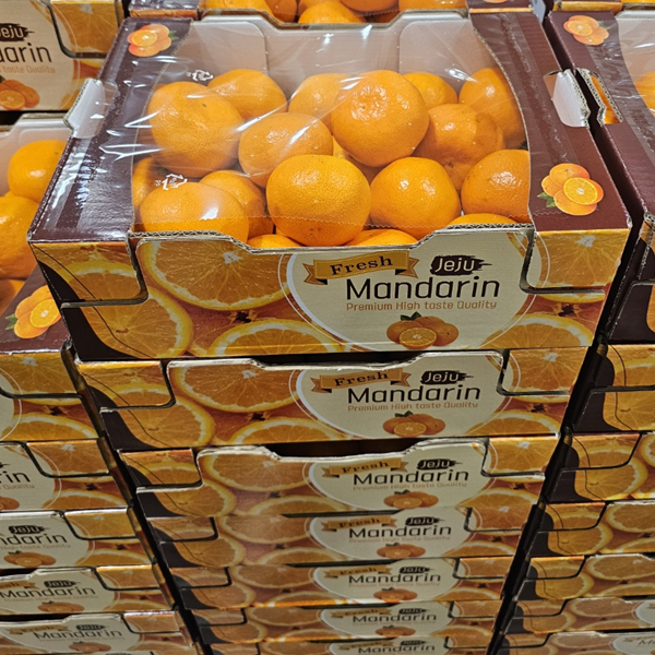 [계절과일] 제주 하우스 감귤 만다린 2.5kg