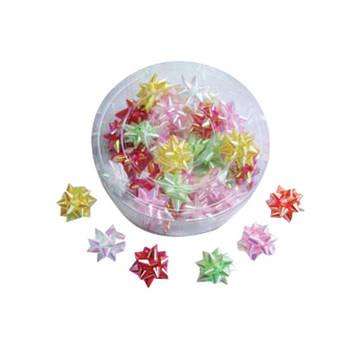 레인보우포장꽃(중) 