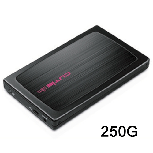 새로텍 외장하드 FHD-259UA 250G 