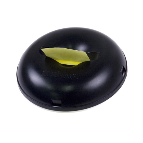 포스트잇 G5176-APPLE 노랑 G5176 노랑