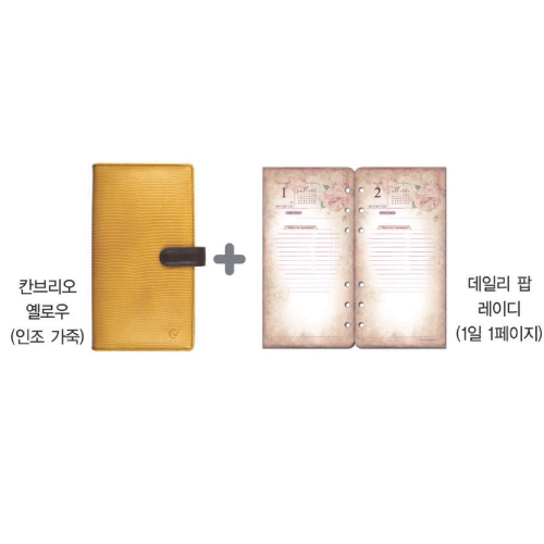 칸브리오옐로우세트3분기 6~12월