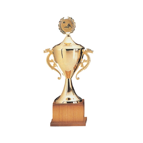 트로피 27 * 100㎝ 27 * 100cm