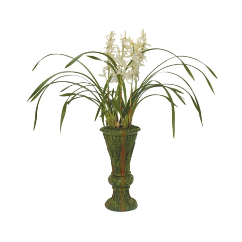 백운(소) 소(6~7촉)