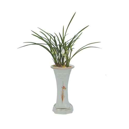 철골소심(중) 중(8~10촉)