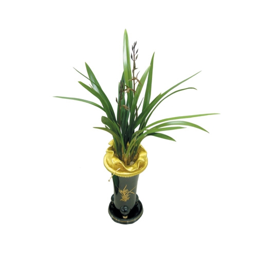 산천보세(소) 소(6~7촉)