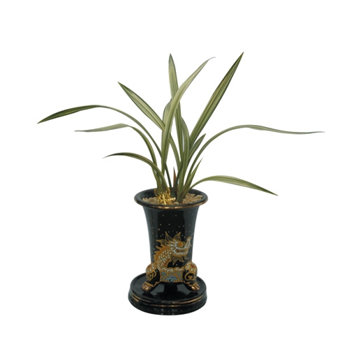 혜란(애국) - 소 소(6-7촉)