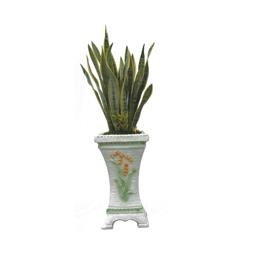 산세베리아(대) 대(100)