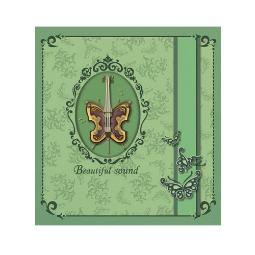 포켓앨범 HA300L (4X6) 녹 30매