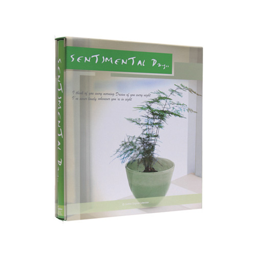 하모니 접착앨범6630L(초록) 30매